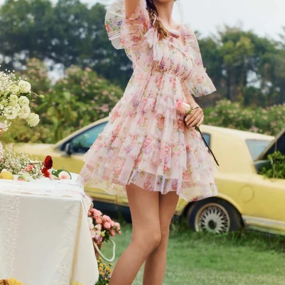 Coquette cottage core tulle mini dress floral nude flared shear netting - Picture 4 of 10